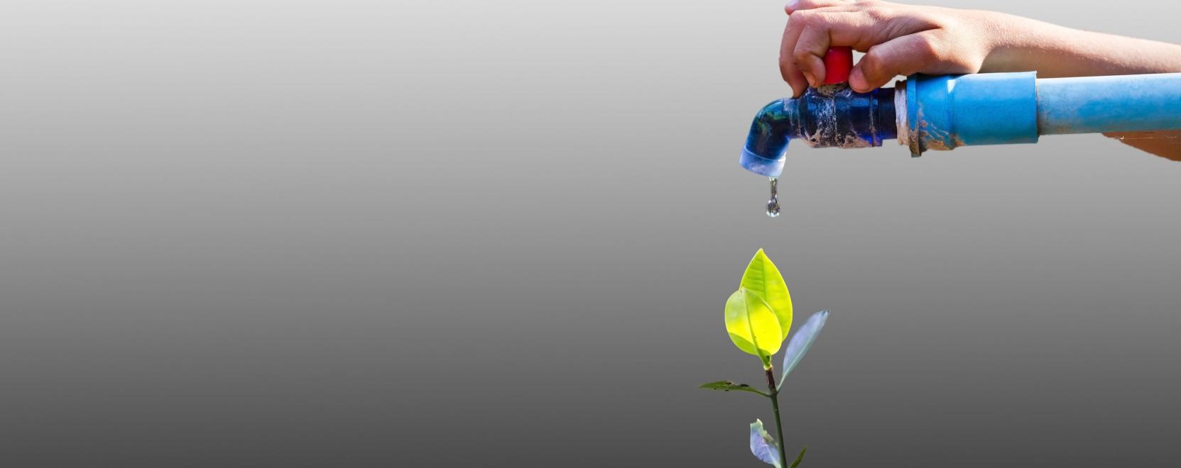 NFC-technol&oacute;gi&aacute;val a tiszta iv&oacute;v&iacute;z&eacute;rt