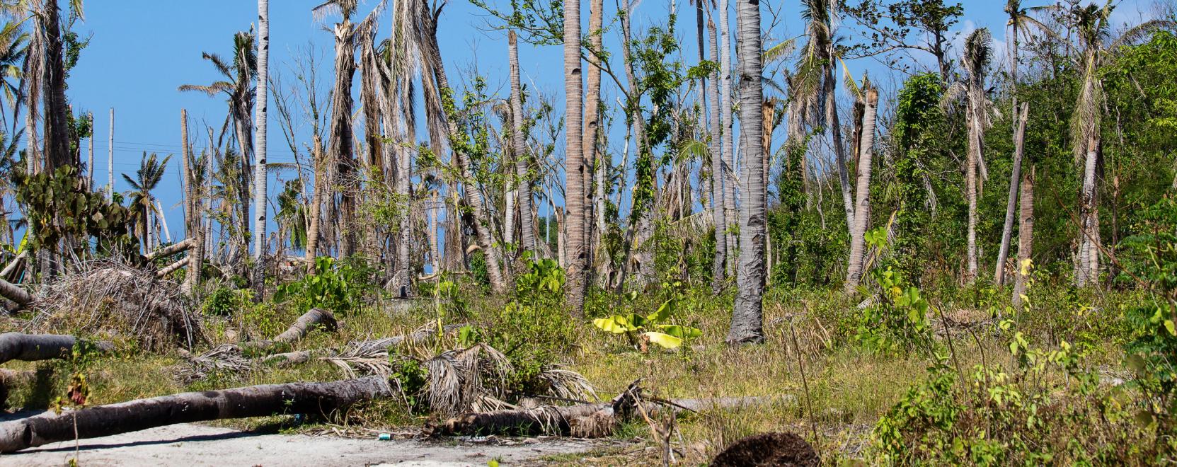 A szupert&aacute;jfun ut&aacute;n is bevetik a Vodafone fejleszt&eacute;s&eacute;t