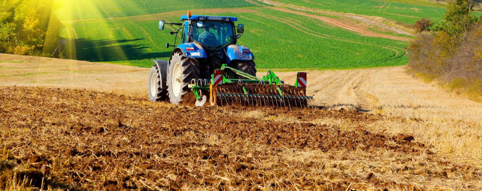 Intelligens fejleszt&eacute;sek a mezőgazdas&aacute;gban