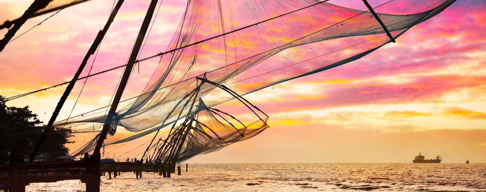 Tonhalas spagetti vagy s&uuml;lt hekk? 