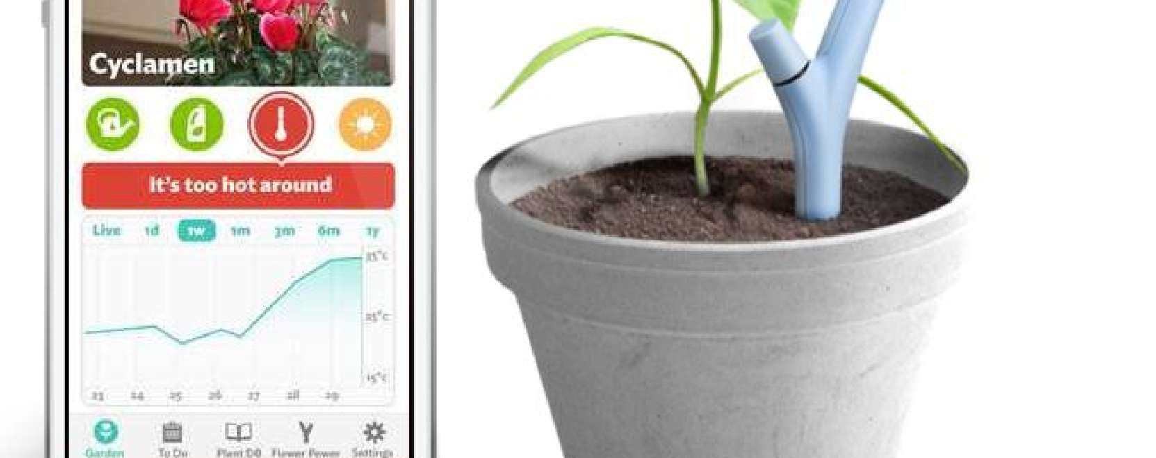 Amikor a n&ouml;v&eacute;nyek megsz&oacute;lalnak