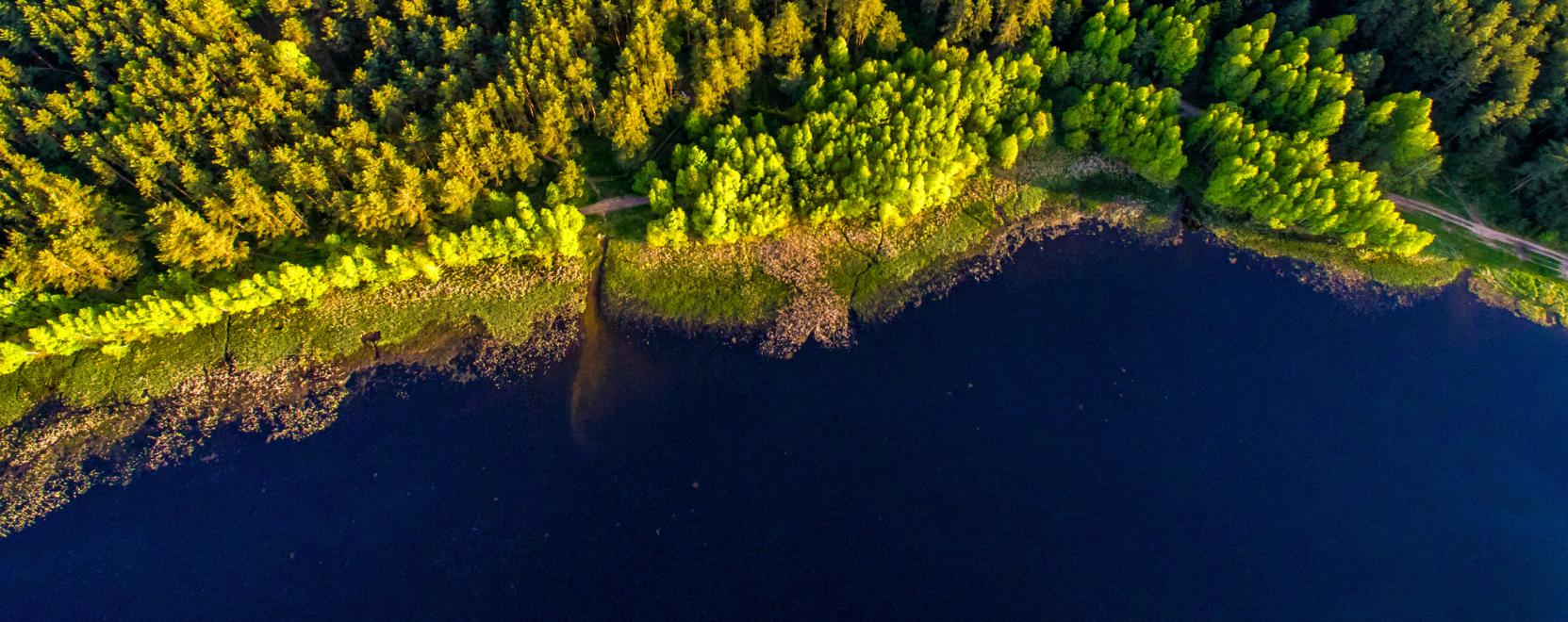 Dr&oacute;ncsapatok kutathatnak az eltűnt t&uacute;r&aacute;z&oacute;k ut&aacute;n