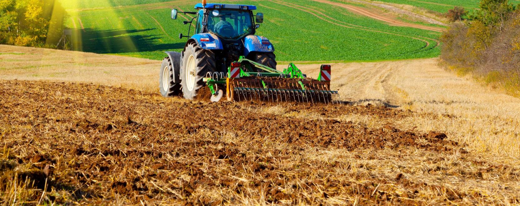 Digitaliz&aacute;ci&oacute;s kil&aacute;t&aacute;sok az agr&aacute;riumban