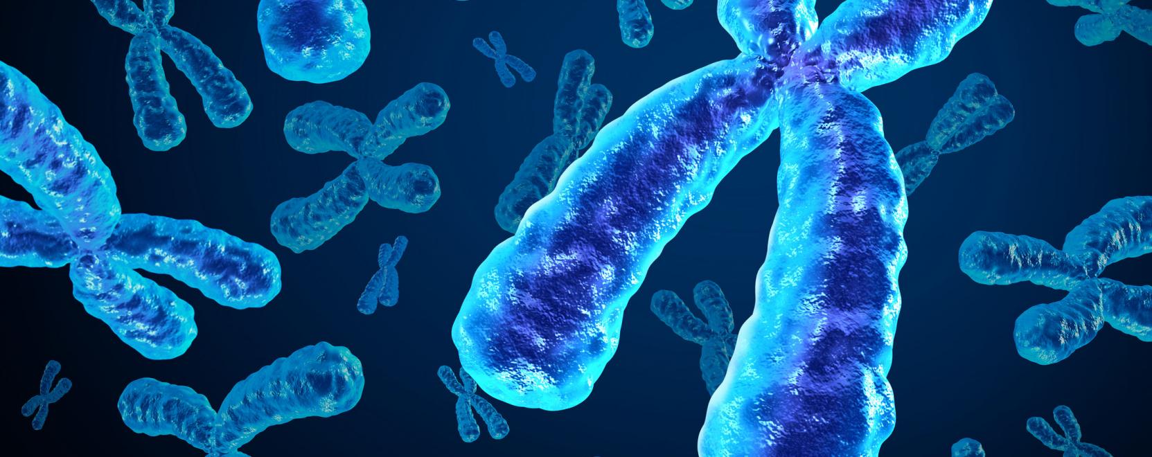 Ritka genetikai k&oacute;rk&eacute;peket is felismerhetnek az algoritmusok