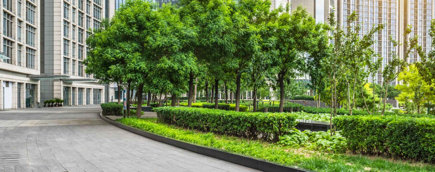 V&aacute;rosi fejleszt&eacute;sek a tiszt&aacute;bb levegő&eacute;rt