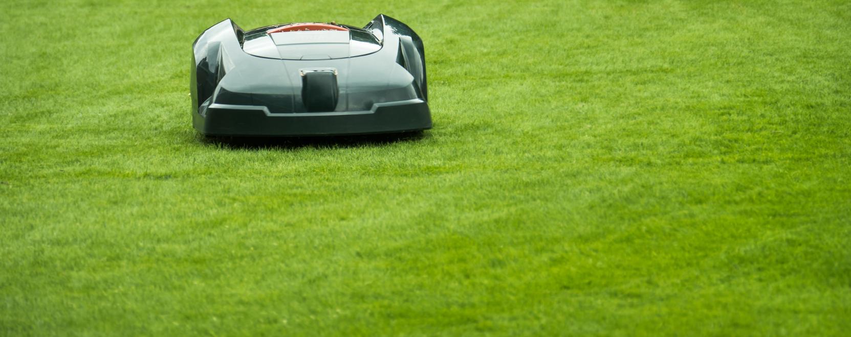 Elege van az eg&eacute;sz &eacute;ves fűny&iacute;r&aacute;sb&oacute;l? B&iacute;zza a robotokra!