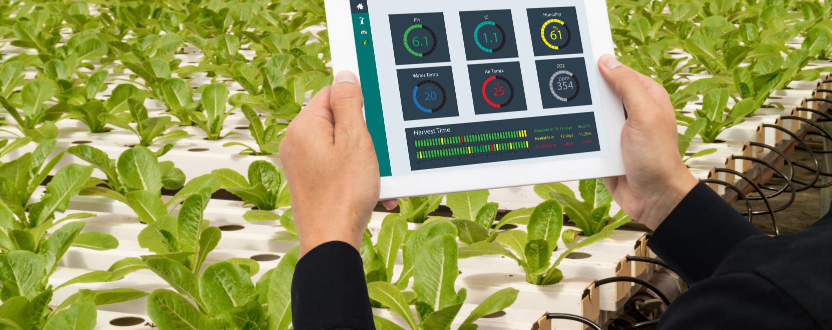 F&oacute;kuszban a digitaliz&aacute;ci&oacute; &eacute;s a prec&iacute;zi&oacute;s gazd&aacute;lkod&aacute;s