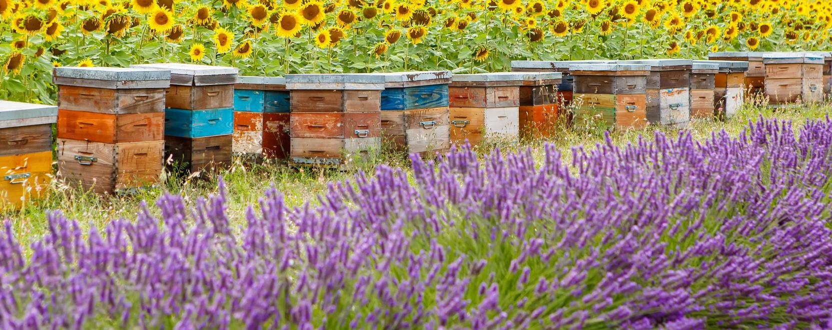 Ak&aacute;r m&aacute;r a fotelből is lehet m&eacute;h&eacute;szkedni