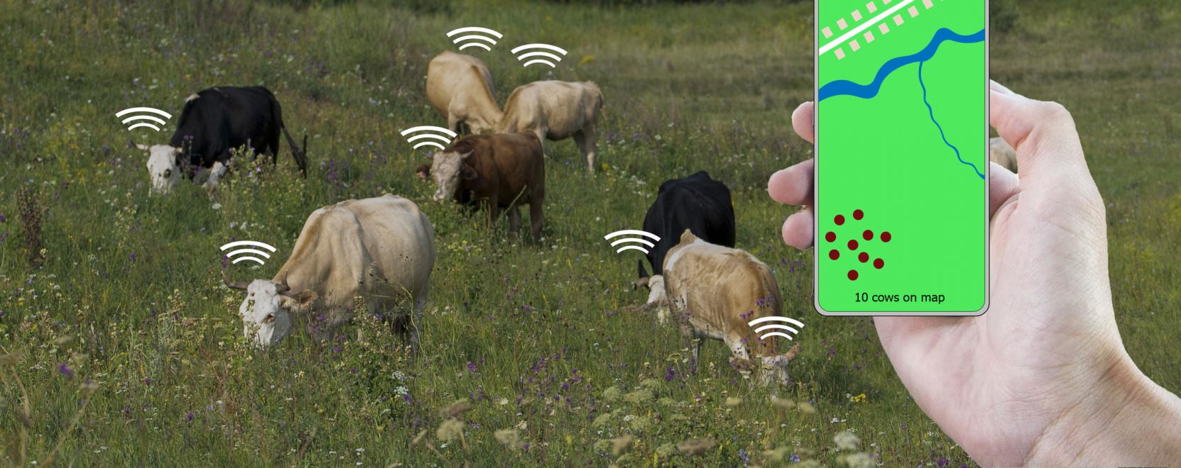 IIoT-vel felturb&oacute;zott okosfarmok etethetik a vil&aacute;got