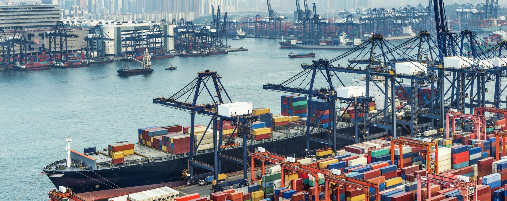 Intelligens fejleszt&eacute;sek m&aacute;r a kik&ouml;tőkben is