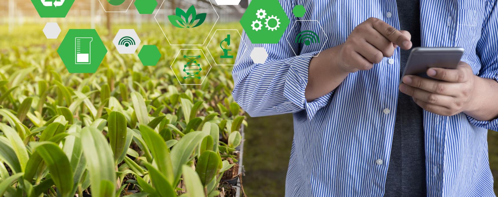 Fontos mentő&ouml;v lehet az IoT a mezőgazdas&aacute;gban