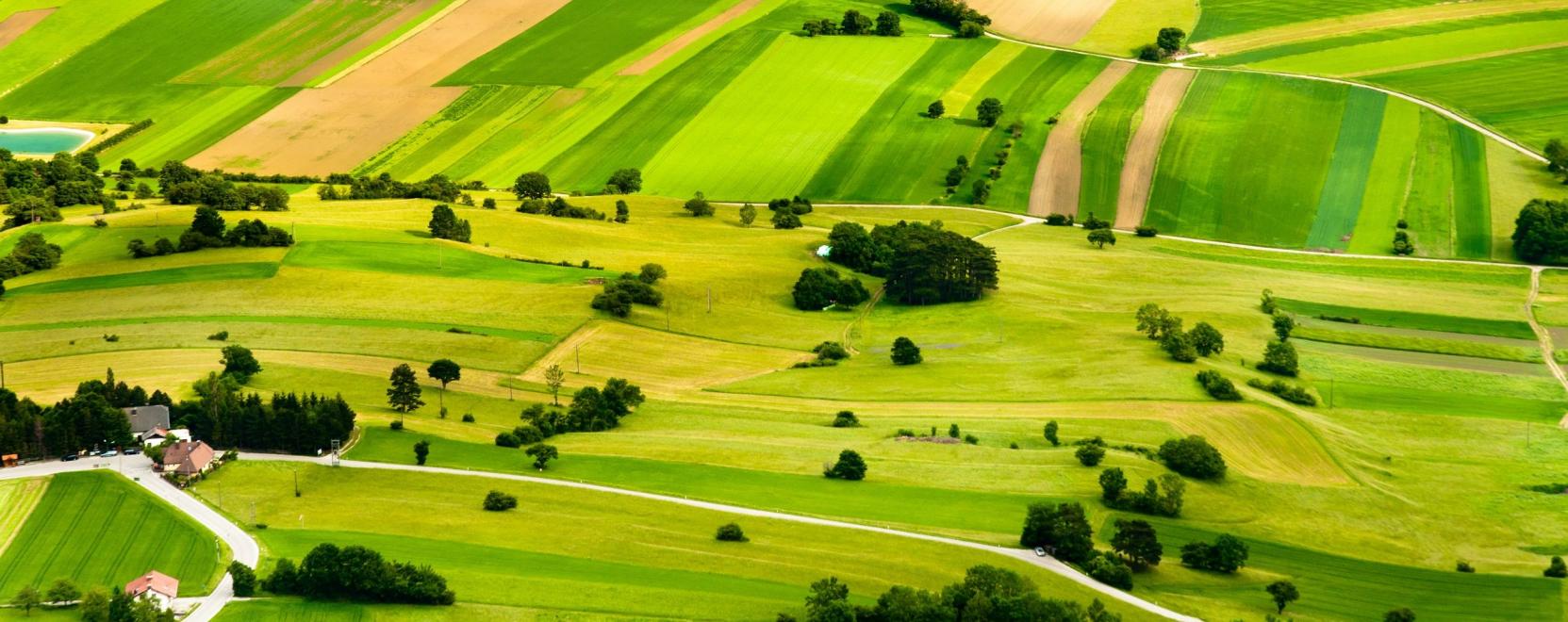 Hogyan v&aacute;ltoztatja meg az 5G a mezőgazdas&aacute;g j&ouml;vőj&eacute;t?