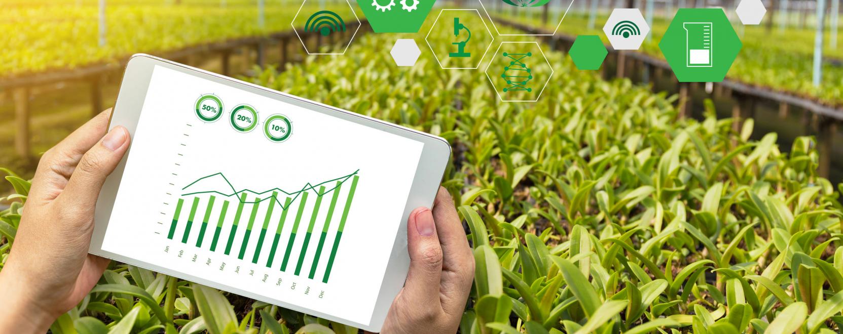 A mezőgazdas&aacute;g versenyk&eacute;pess&eacute;ge a digitaliz&aacute;ci&oacute;n m&uacute;lik