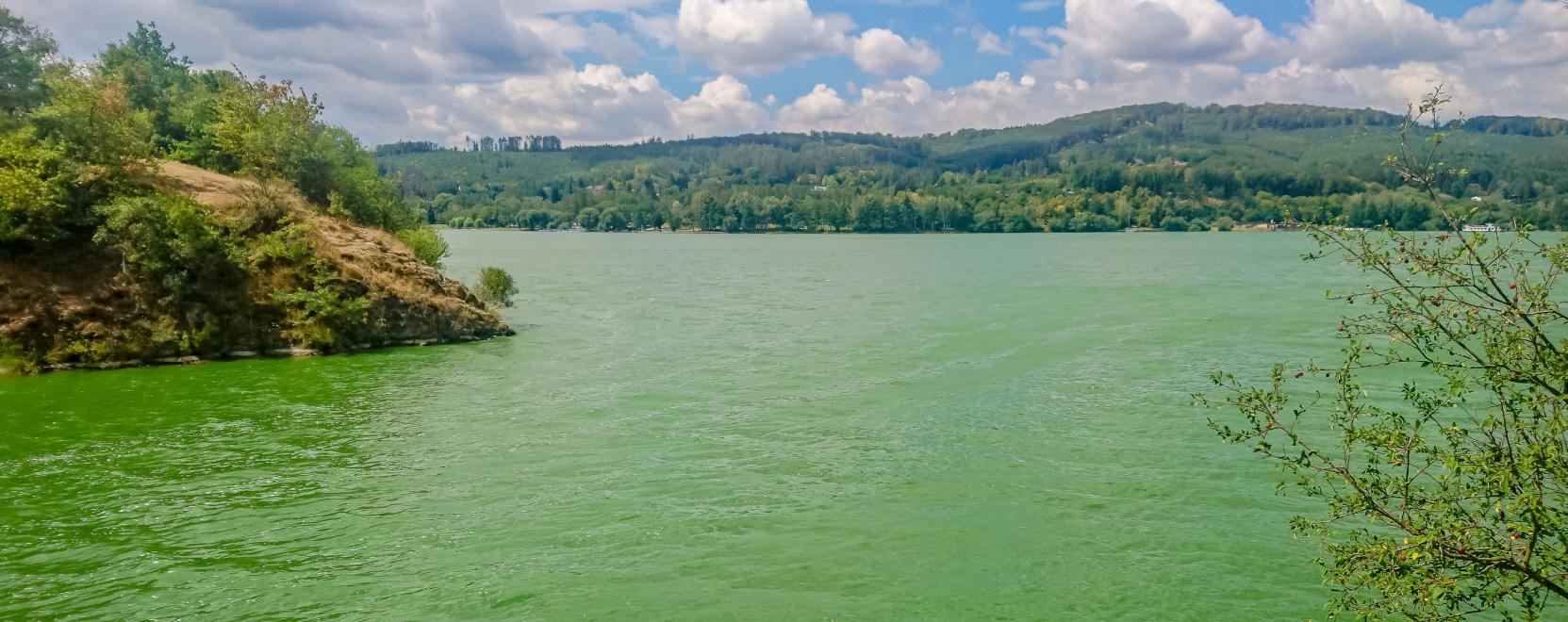 Okoseszk&ouml;z mutatja ki a v&iacute;zben l&eacute;vő toxinokat