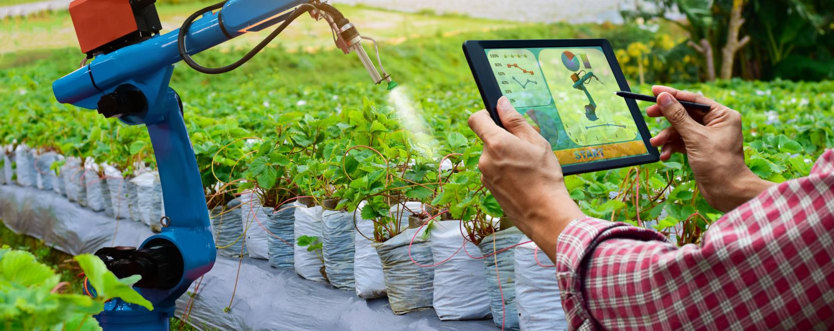 Az okos gazd&aacute;k&eacute; a j&ouml;vő