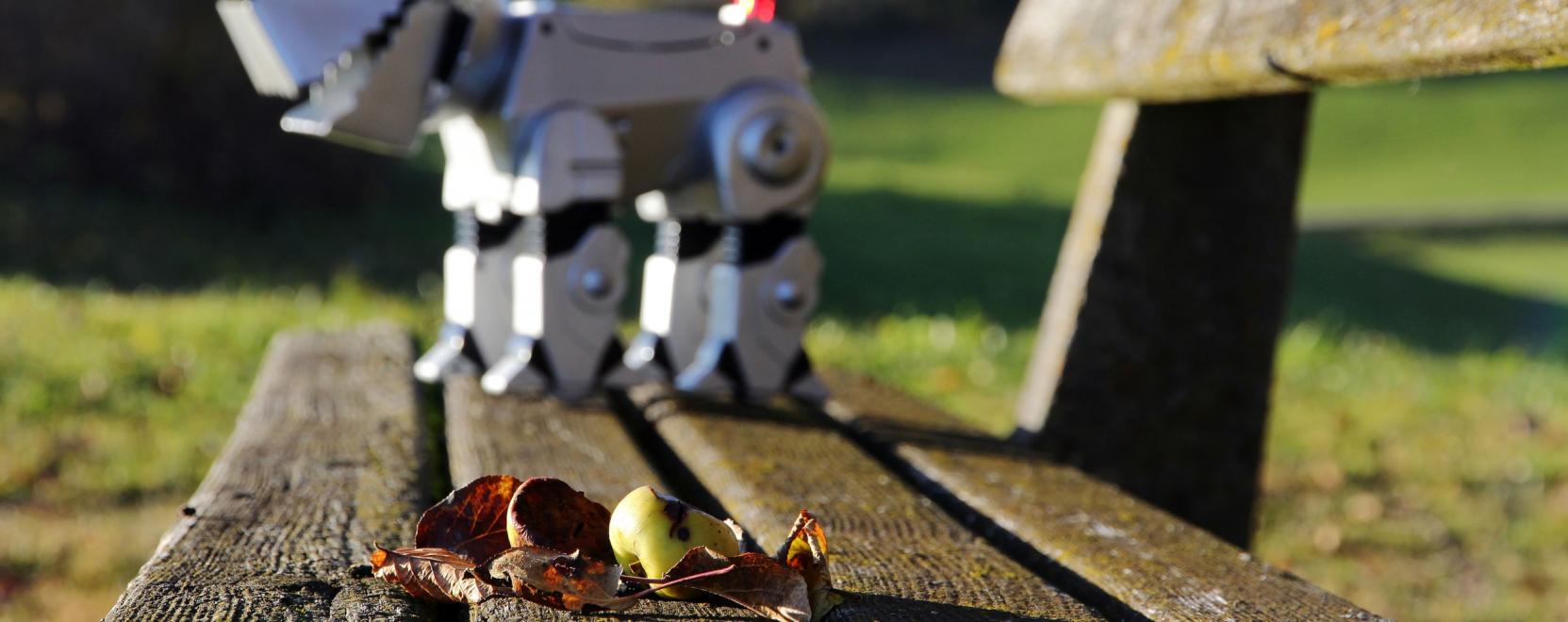 Ez a robotkutya eg&eacute;szen elk&eacute;pesztő dolgokra k&eacute;pes