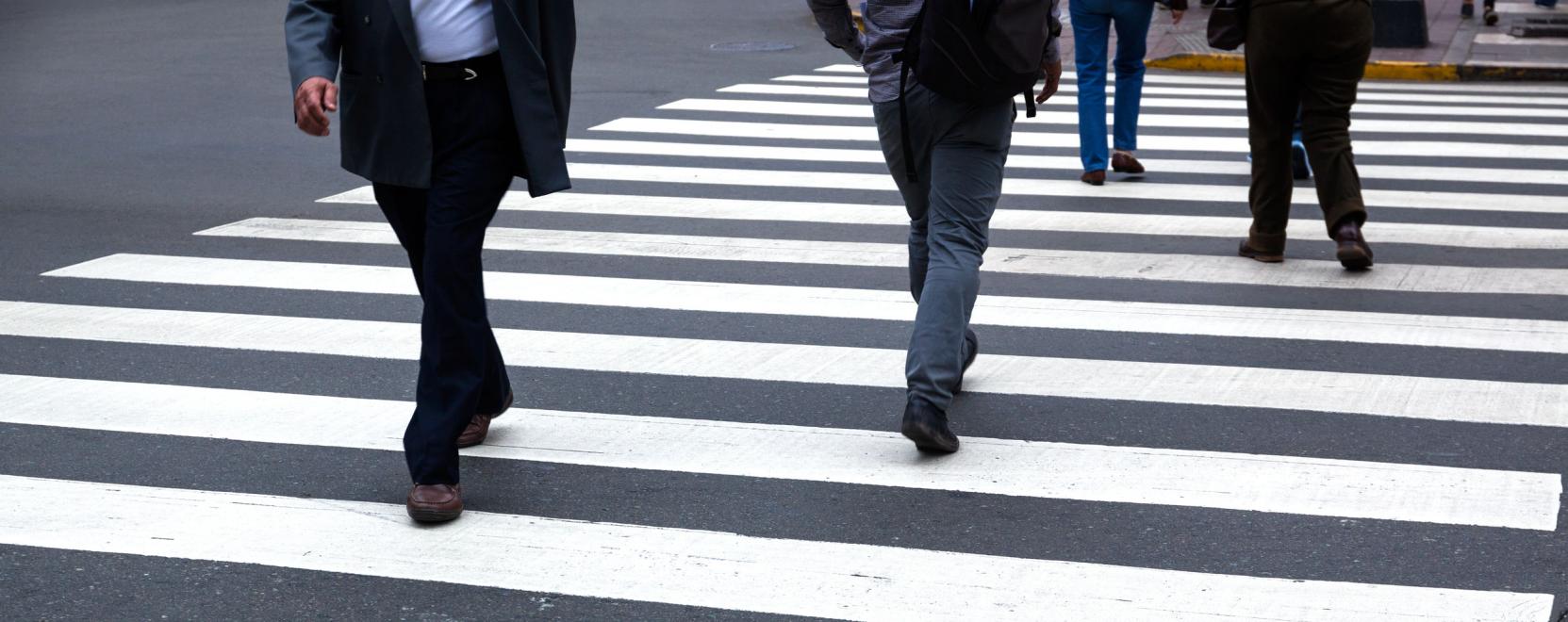 Okos zebr&aacute;t adtak &aacute;t Zugl&oacute;ban