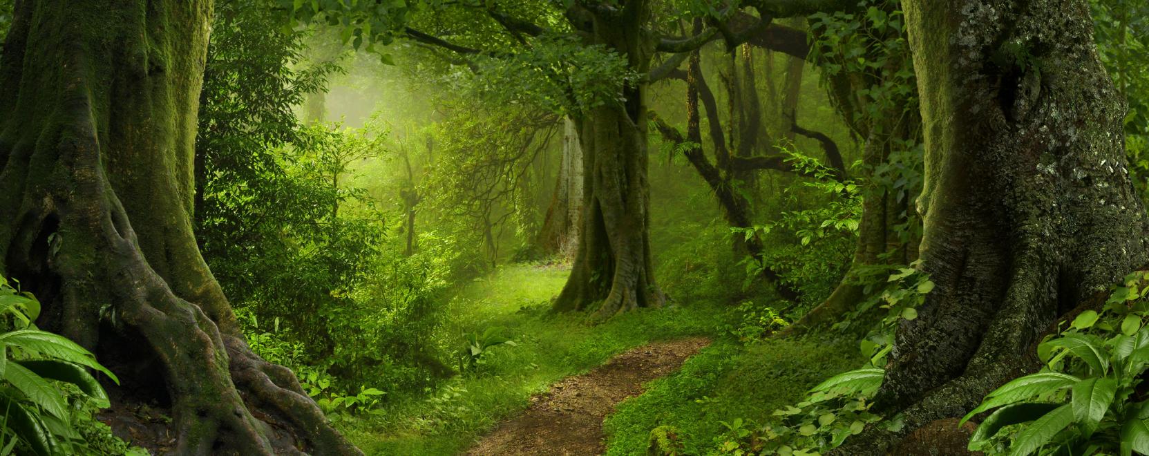 Vad&aacute;szat egykor &eacute;s ma: AR bemutat&oacute; az ipolytarn&oacute;ci ősparkban