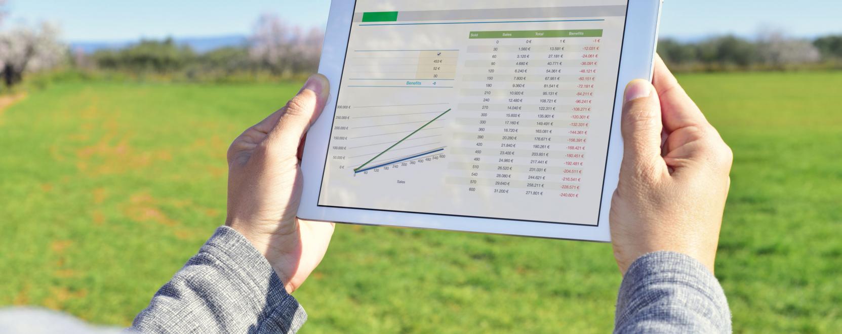 Hol tart az agr&aacute;rinformatikai felsőoktat&aacute;s?