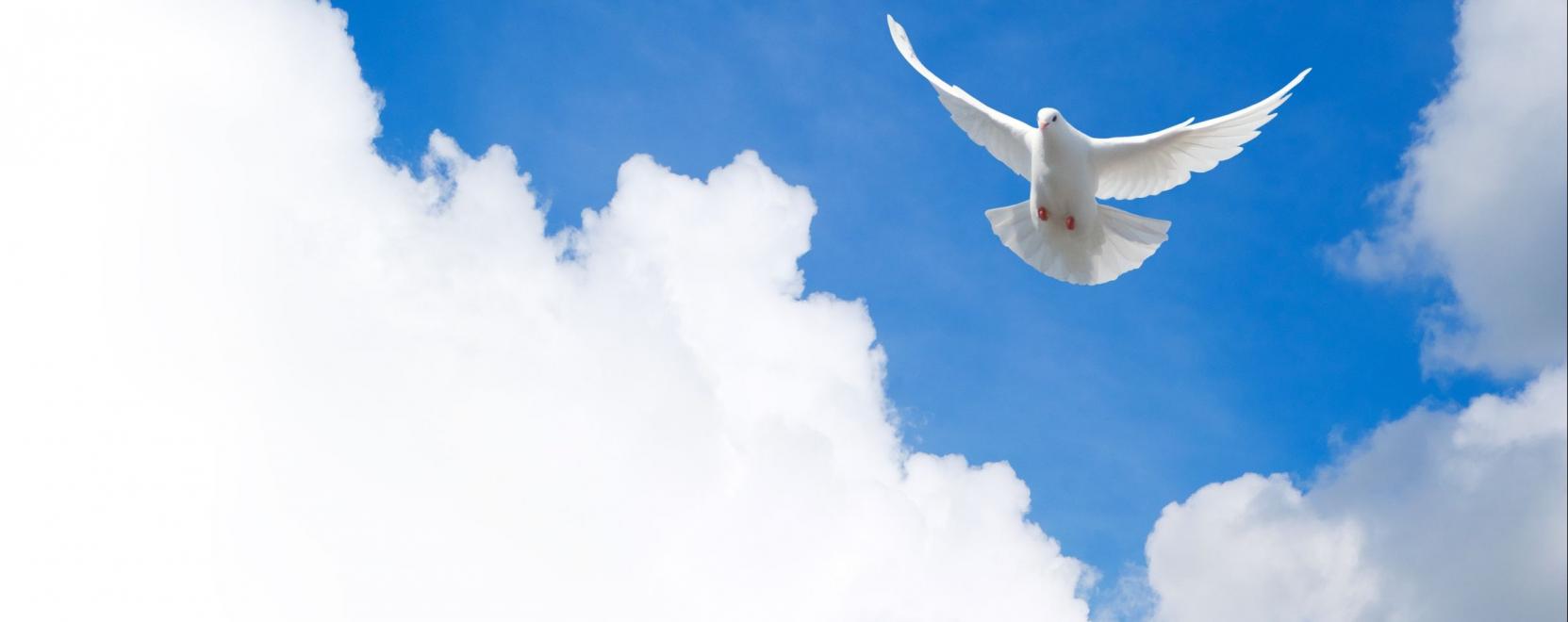 &Iacute;me, az idegen tollakkal &eacute;keskedő robot