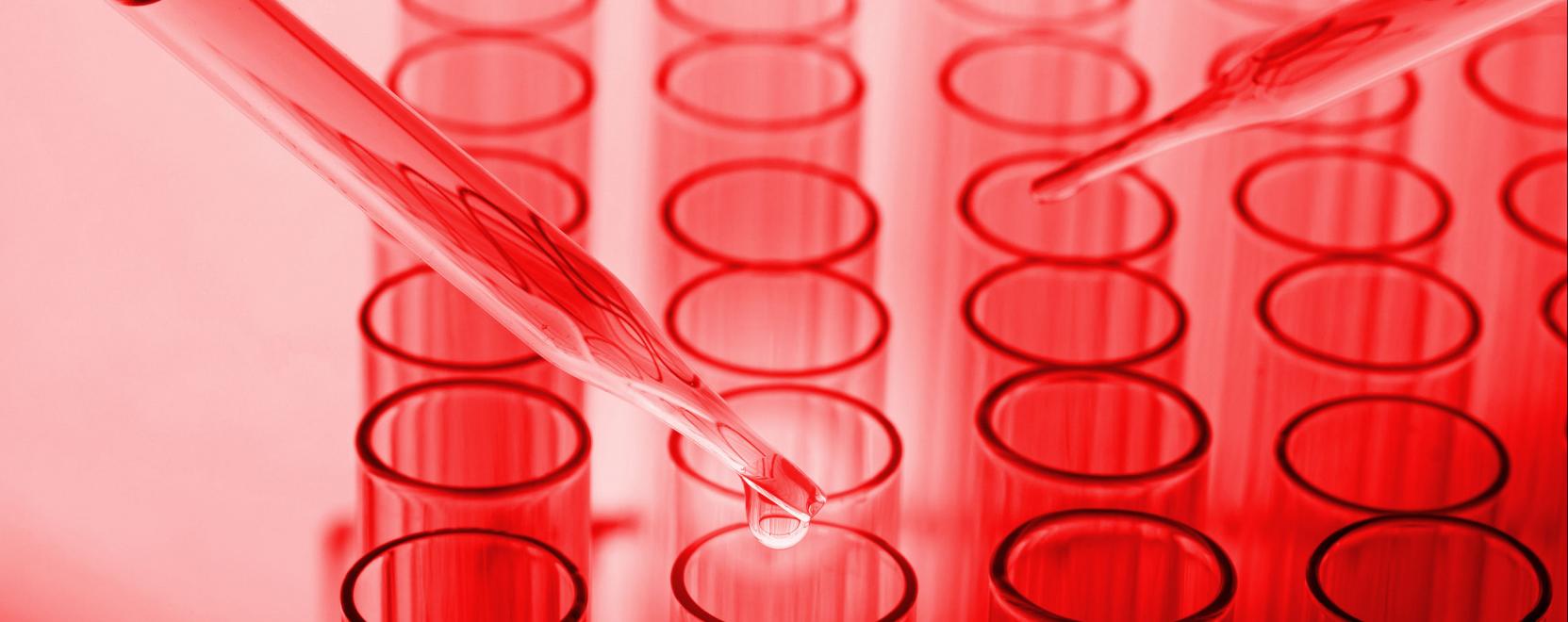 Hogyan seg&iacute;thet az AI a koronav&iacute;rus legyőz&eacute;s&eacute;ben?