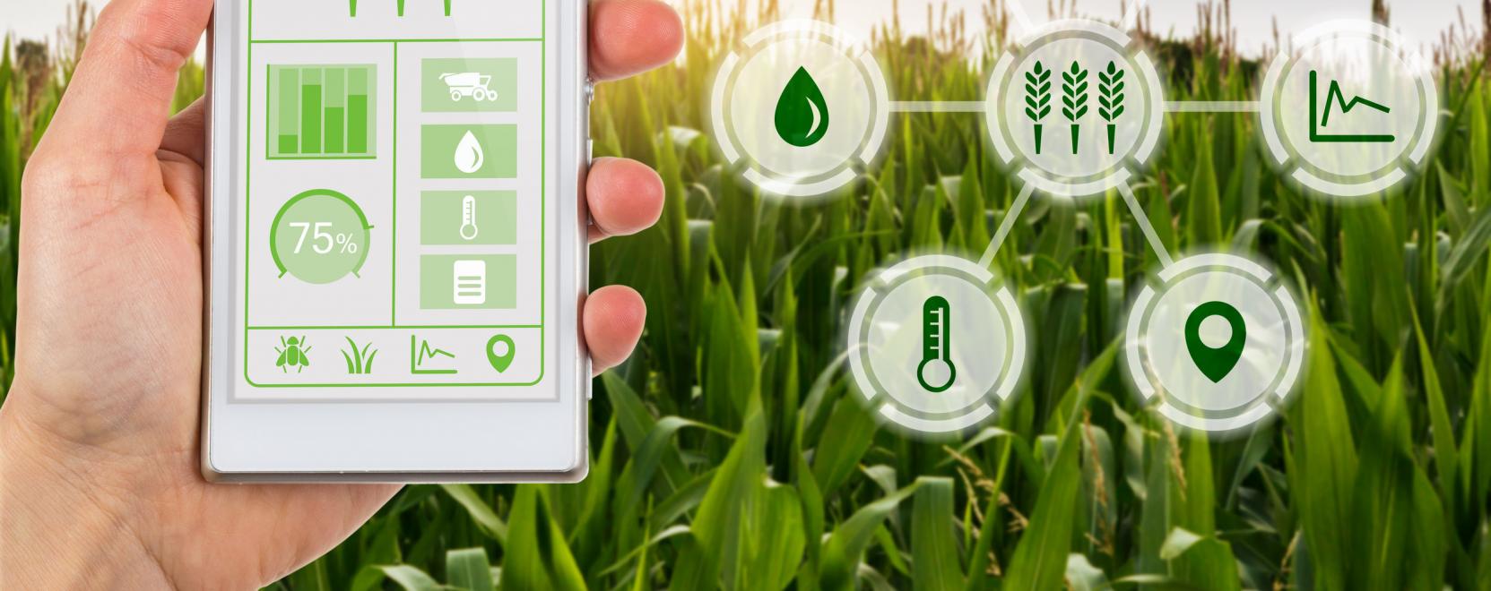 Jav&aacute;ban zajlik a NAK TechLab inkub&aacute;ci&oacute;s programja