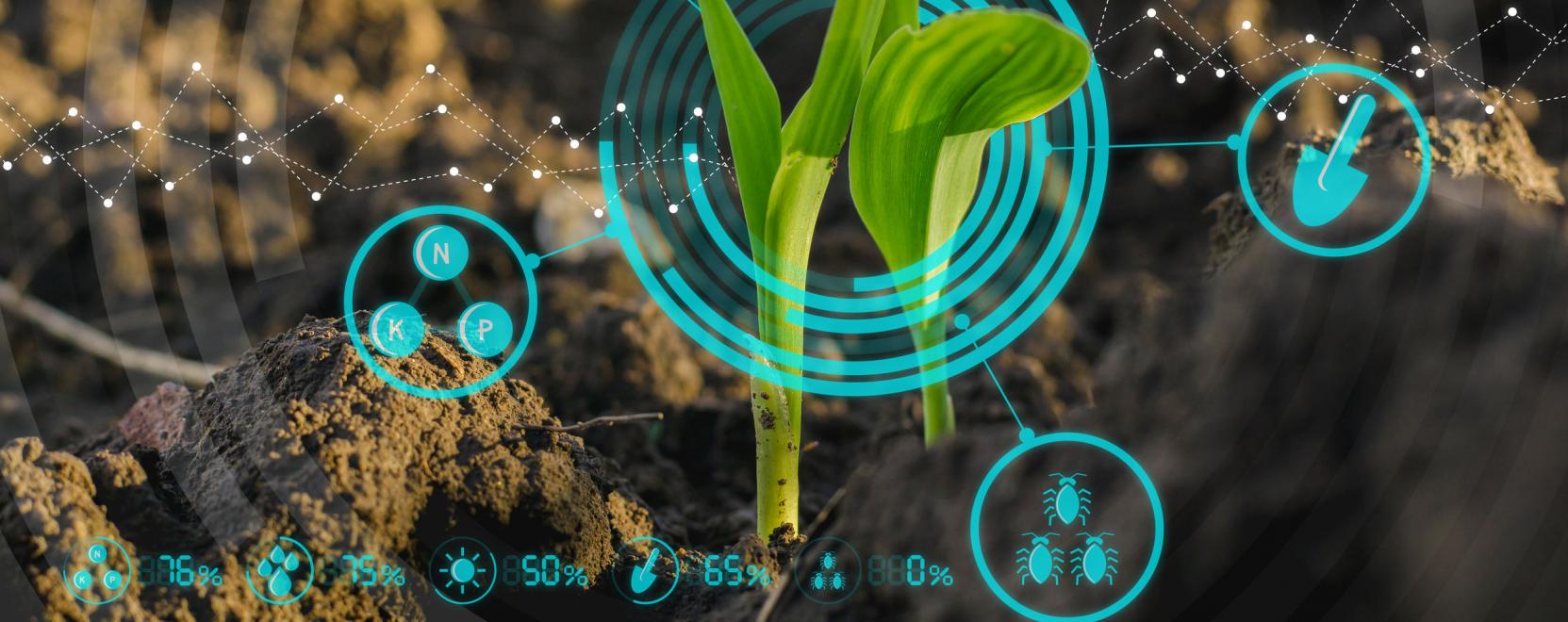 Csak prec&iacute;zen: IoT a mezőgazdas&aacute;gban