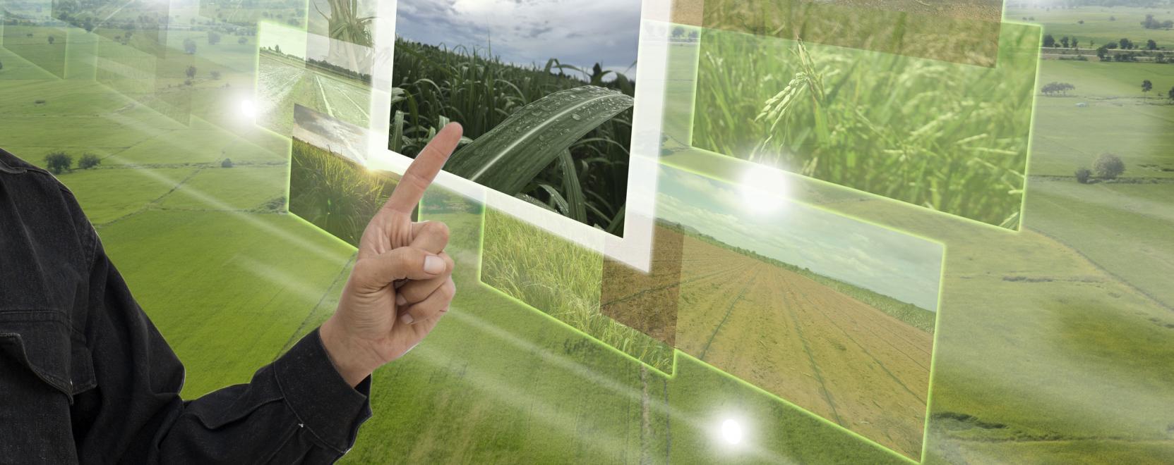 Gazd&aacute;lkodj okosan! Netre kapcsolt farmok &eacute;s &uuml;vegh&aacute;zak