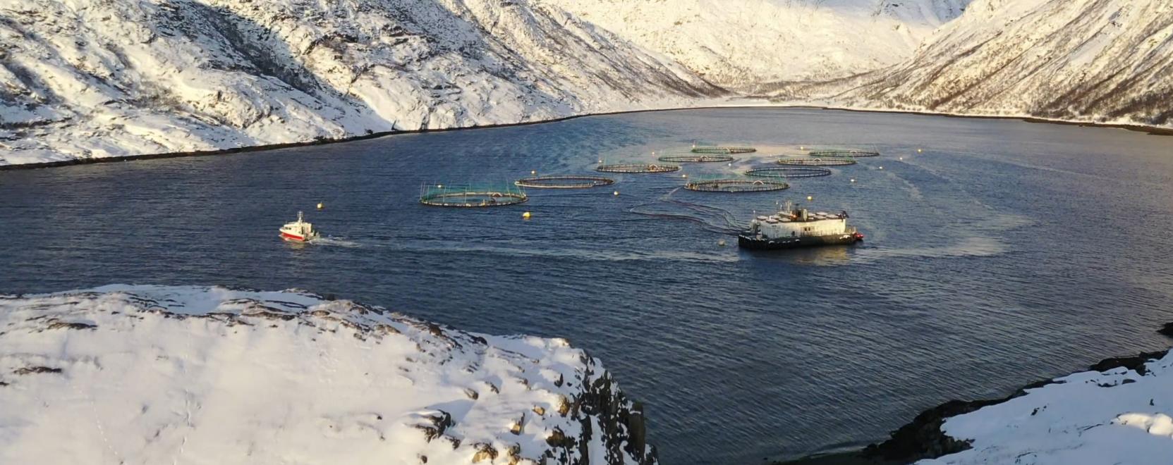 Fenntarthat&oacute; &eacute;lelmiszerek: &iacute;gy seg&iacute;tenek a robotprogramok