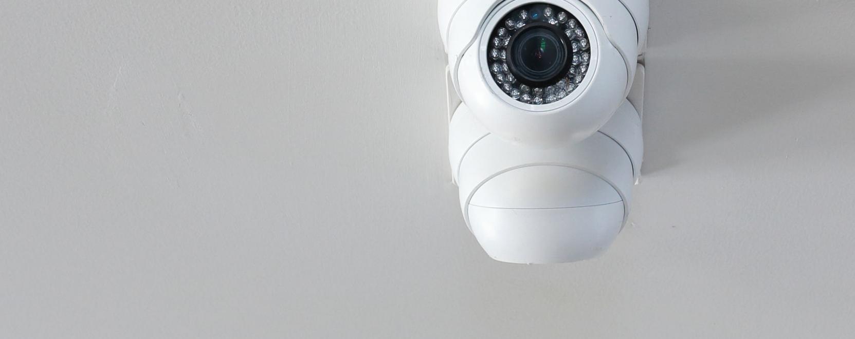 &Iacute;me, a kamera, ami v&eacute;letlen&uuml;l sem tud kukkolni