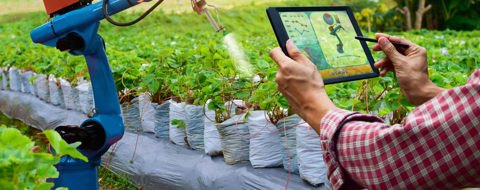 &Uacute;j digit&aacute;lis megold&aacute;sokkal t&aacute;mogatja az agr&aacute;riumot a NAK