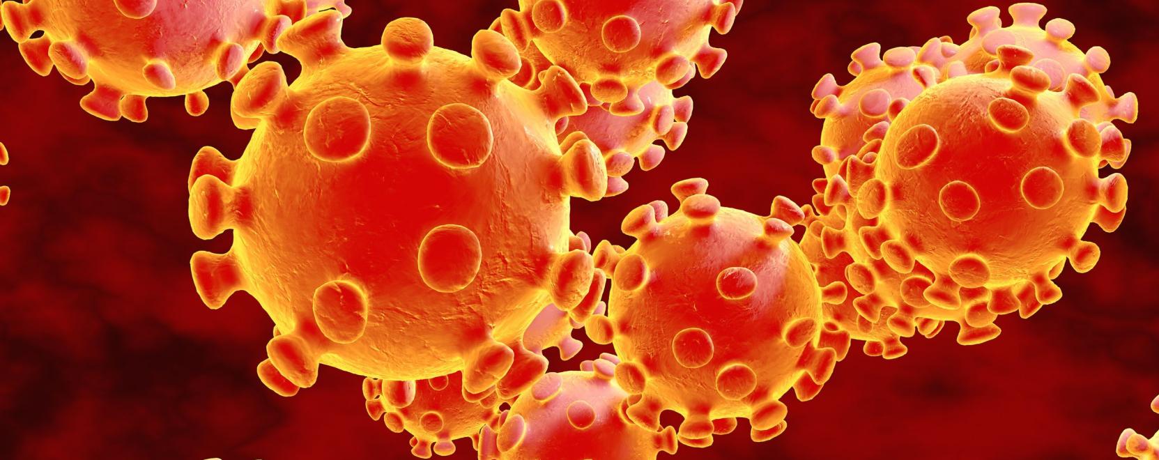 Hogyan seg&iacute;thet az okosgyűrű a koronav&iacute;rus felismer&eacute;s&eacute;ben?