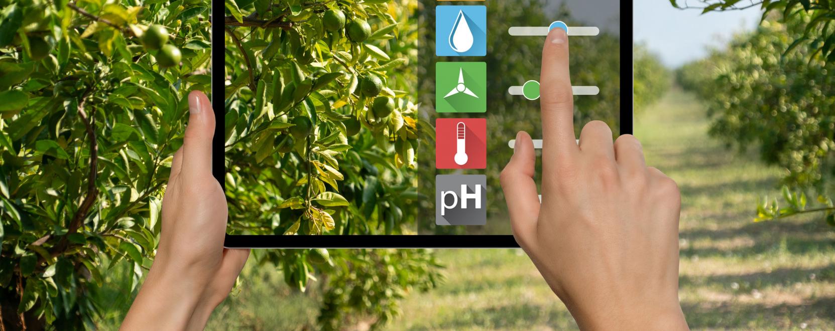 &Ouml;n is tehet a kl&iacute;mav&aacute;ltoz&aacute;s ellen, ha online kert&eacute;szkedik