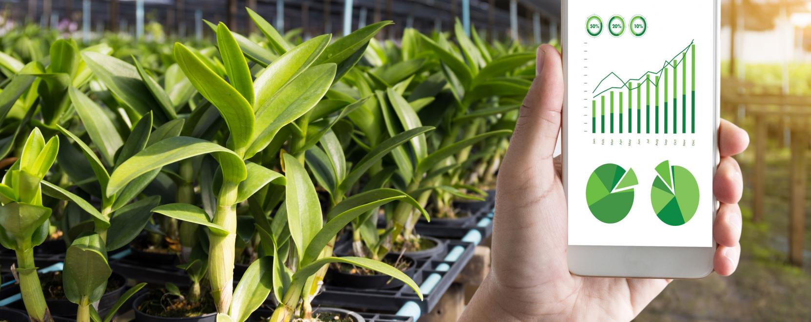 Gondozza a n&ouml;v&eacute;nyeit wifivel!