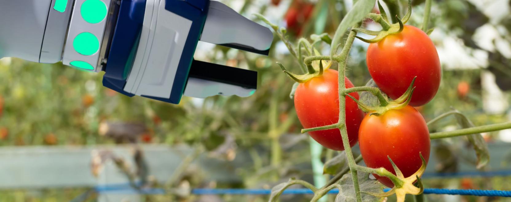 Egy l&eacute;p&eacute;ssel k&ouml;zelebb ker&uuml;lhet&uuml;nk a szuperhős&ouml;kh&ouml;z