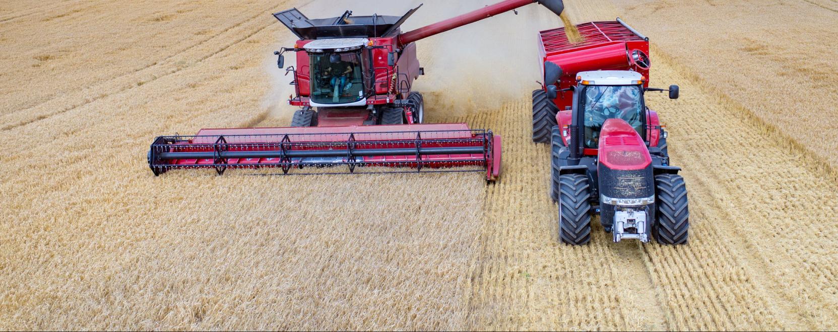 Az azonnali inform&aacute;ci&oacute; a j&oacute; &uuml;zleti d&ouml;nt&eacute;s alapja