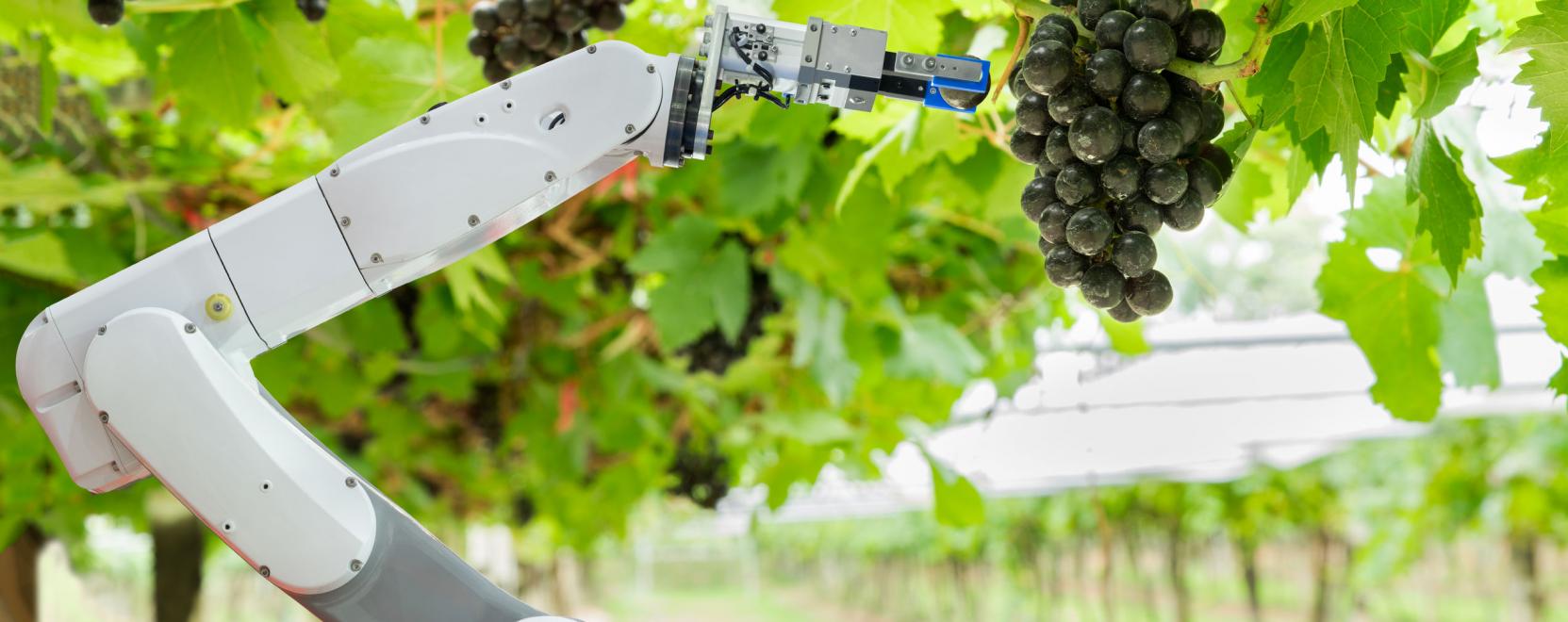 Lenyűg&ouml;ző robotokkal rukkolt elő a Festo