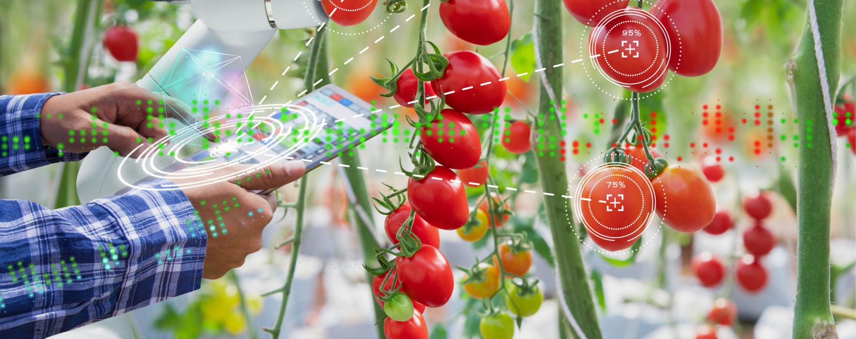 Digit&aacute;lis mezőgazdas&aacute;g: egyetemist&aacute;k innov&aacute;ci&oacute;it v&aacute;rja a NAK