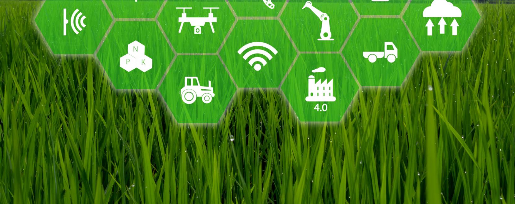 Egyre nyitottabbak a prec&iacute;zi&oacute;s fejleszt&eacute;sekre a hazai gazd&aacute;k