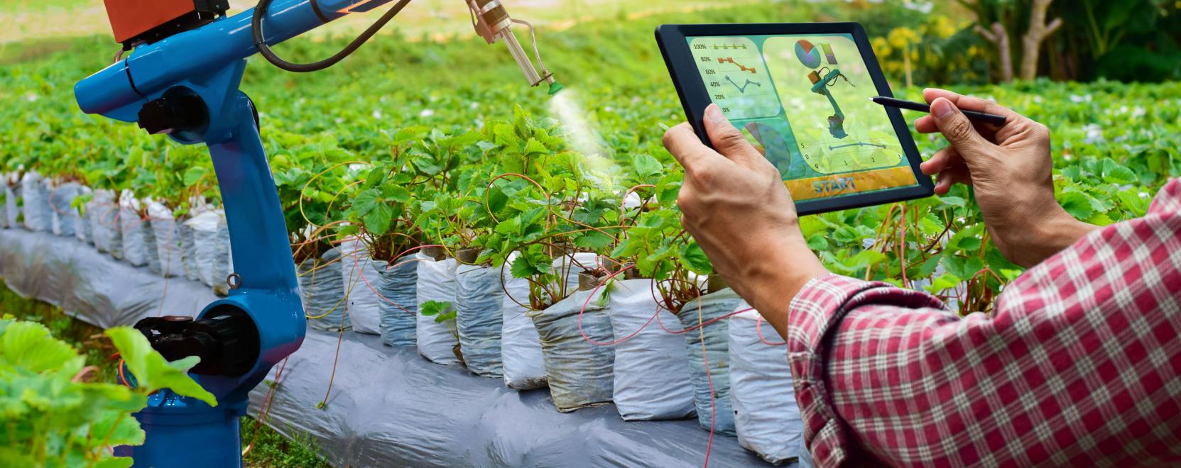 Mezőgazdas&aacute;g 4.0: &uacute;ton a digit&aacute;lis forradalom fel&eacute;