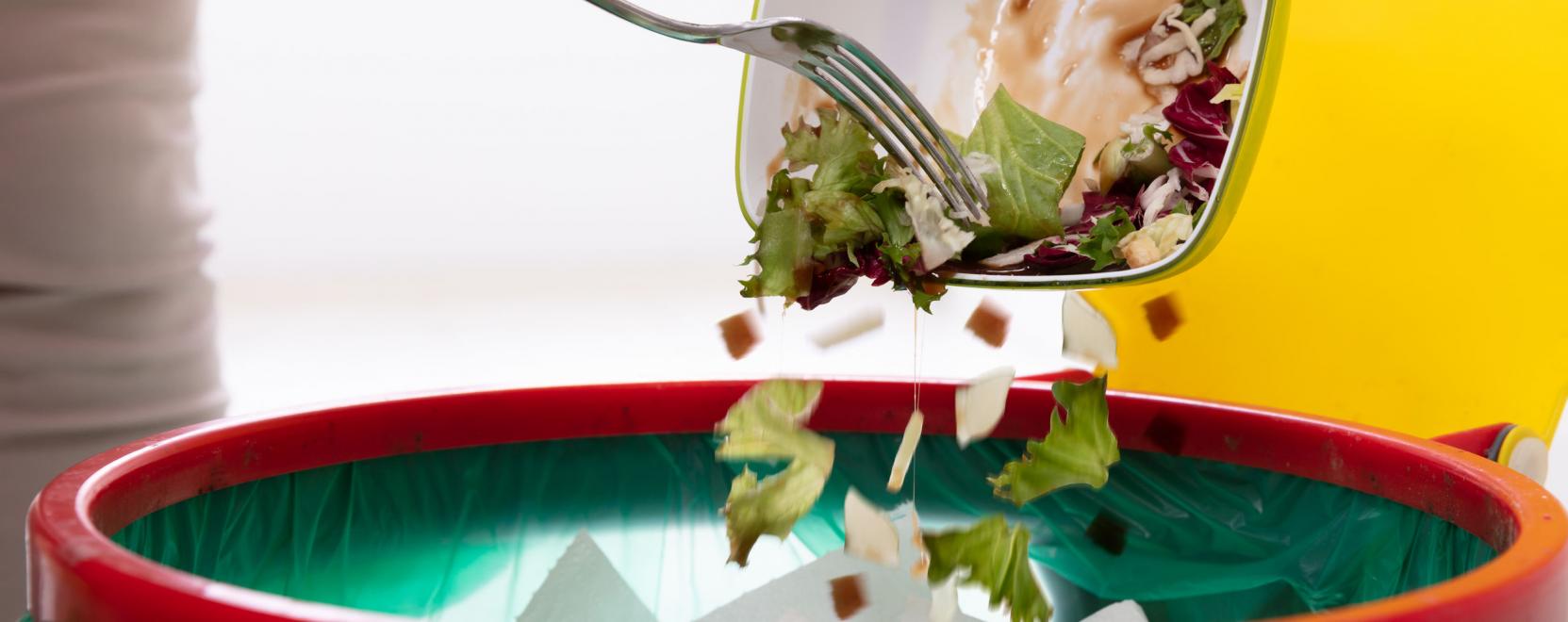 &Uacute;j magyar applik&aacute;ci&oacute; az &eacute;lelmiszer-pazarl&aacute;s ellen