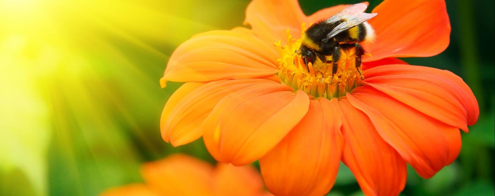 Hogyan v&aacute;lhat az okostechnol&oacute;gia a m&eacute;hek megmentőj&eacute;v&eacute;?