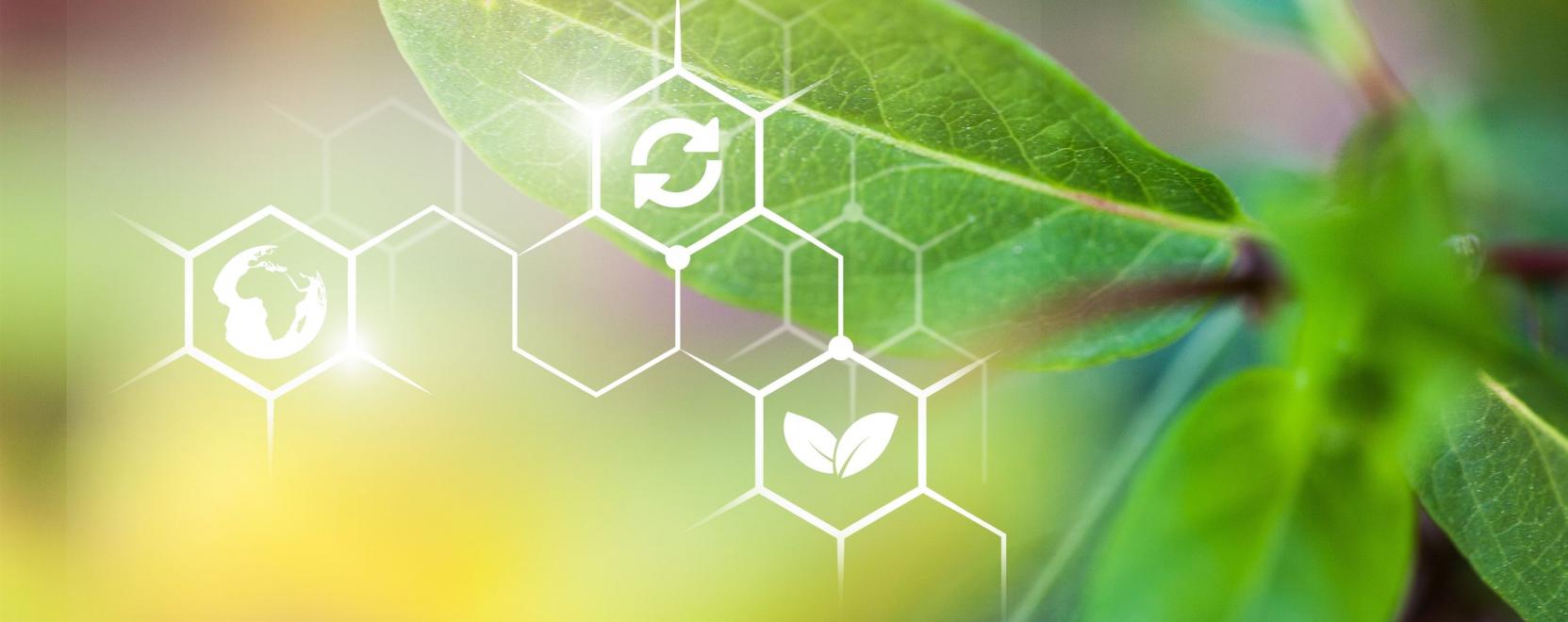 Egy&uuml;tt teszi okosabb&aacute; a mezőgazdas&aacute;got a Bosch &eacute;s a BASF