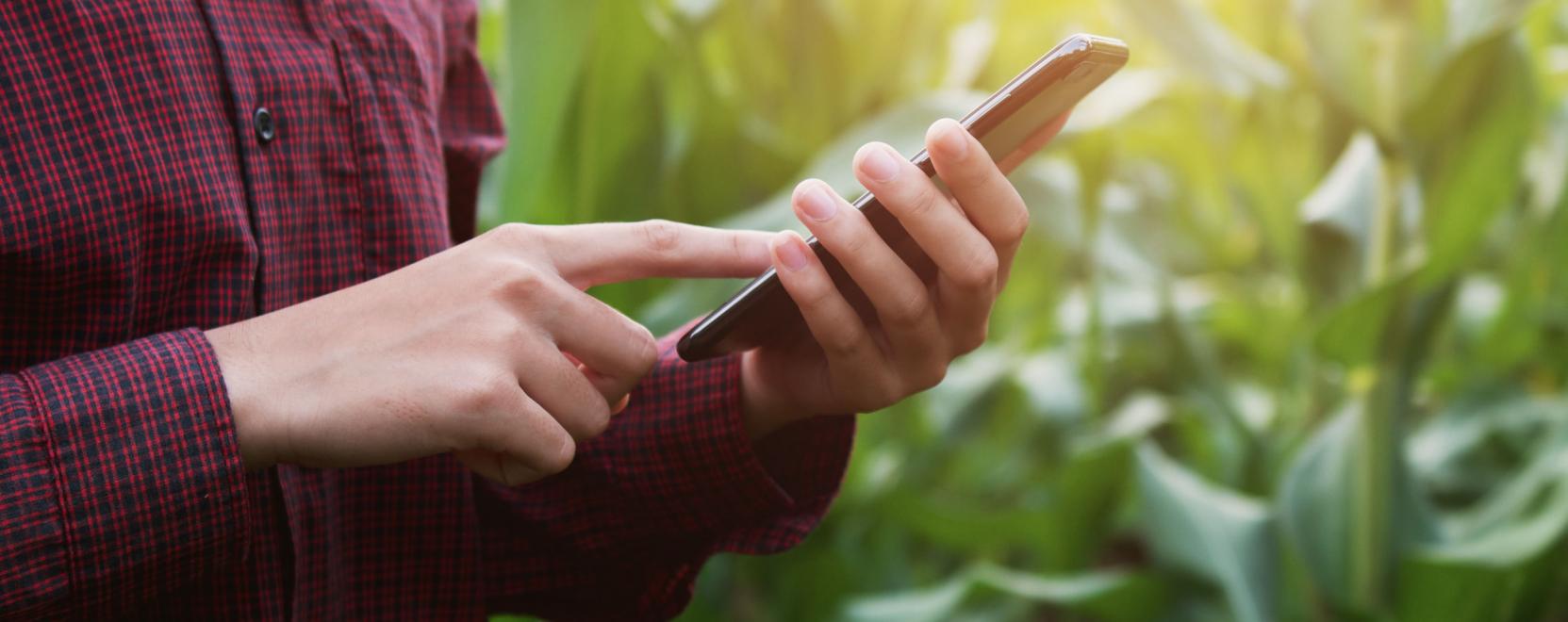 Digit&aacute;lis asszisztens seg&iacute;thet a mezőgazdas&aacute;gi &uuml;gyvitelben