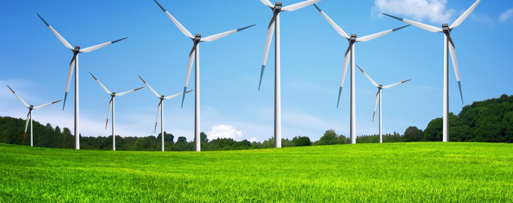 Okoskamer&aacute;k menthetik meg a ragadoz&oacute; madarakat