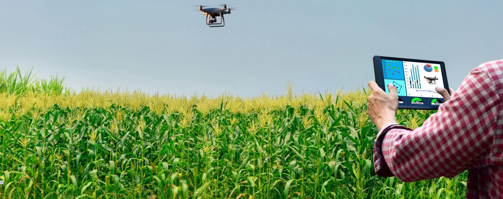 A dr&oacute;nvizsga a felelőss&eacute;gbiztos&iacute;t&aacute;shoz is elengedhetetlen