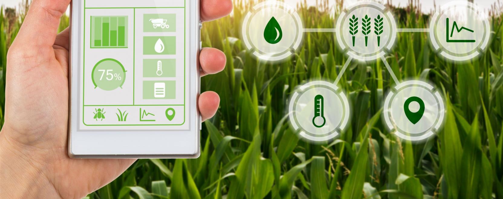 &Uacute;jabb l&eacute;p&eacute;s a digit&aacute;lis &eacute;lelmiszeripar fel&eacute;