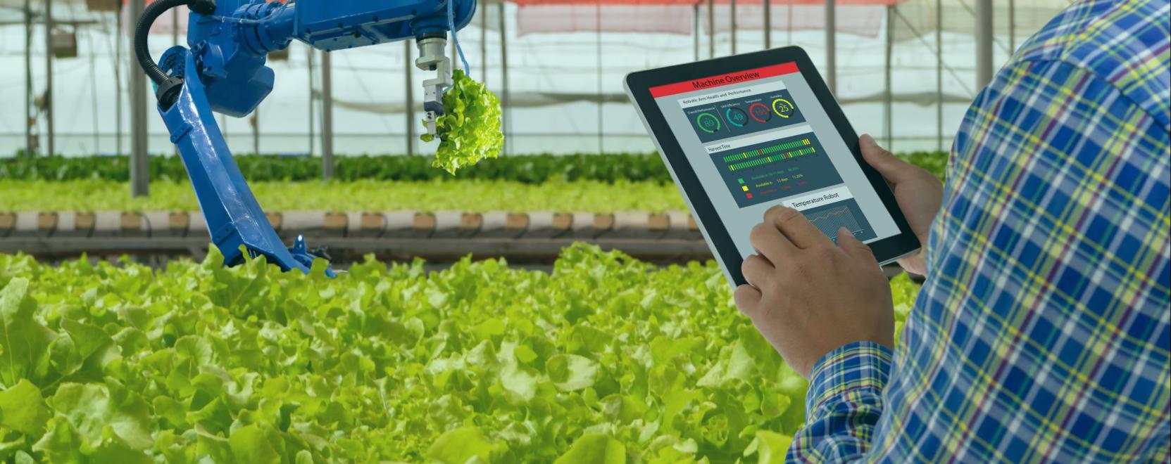 Digit&aacute;lis akad&eacute;mia t&aacute;mogatja az agr&aacute;rium fejlőd&eacute;s&eacute;t