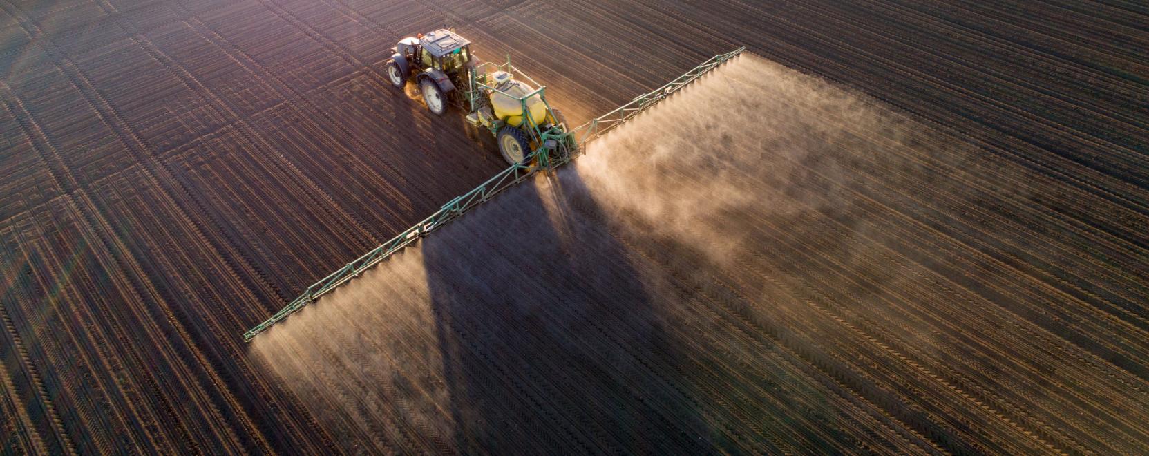 Sz&aacute;nt&oacute;f&ouml;ldi permetez&eacute;s okosan