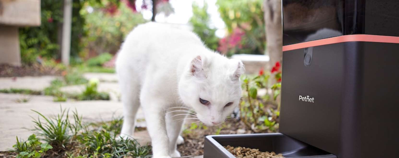 M2M-fejleszt&eacute;sek cukis&aacute;goknak